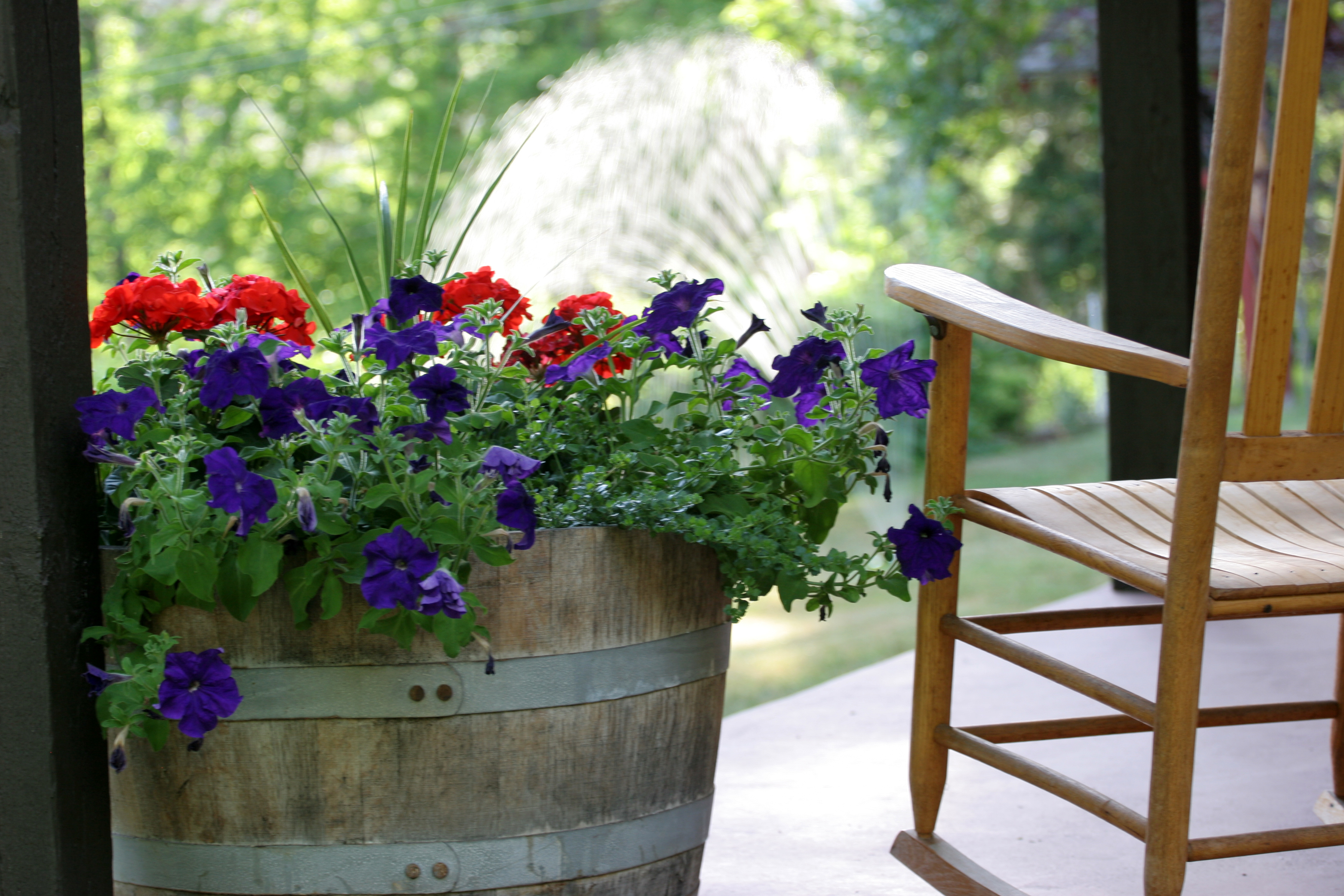 potted-flowers-next-to-rustic-rocking-chair.jpg