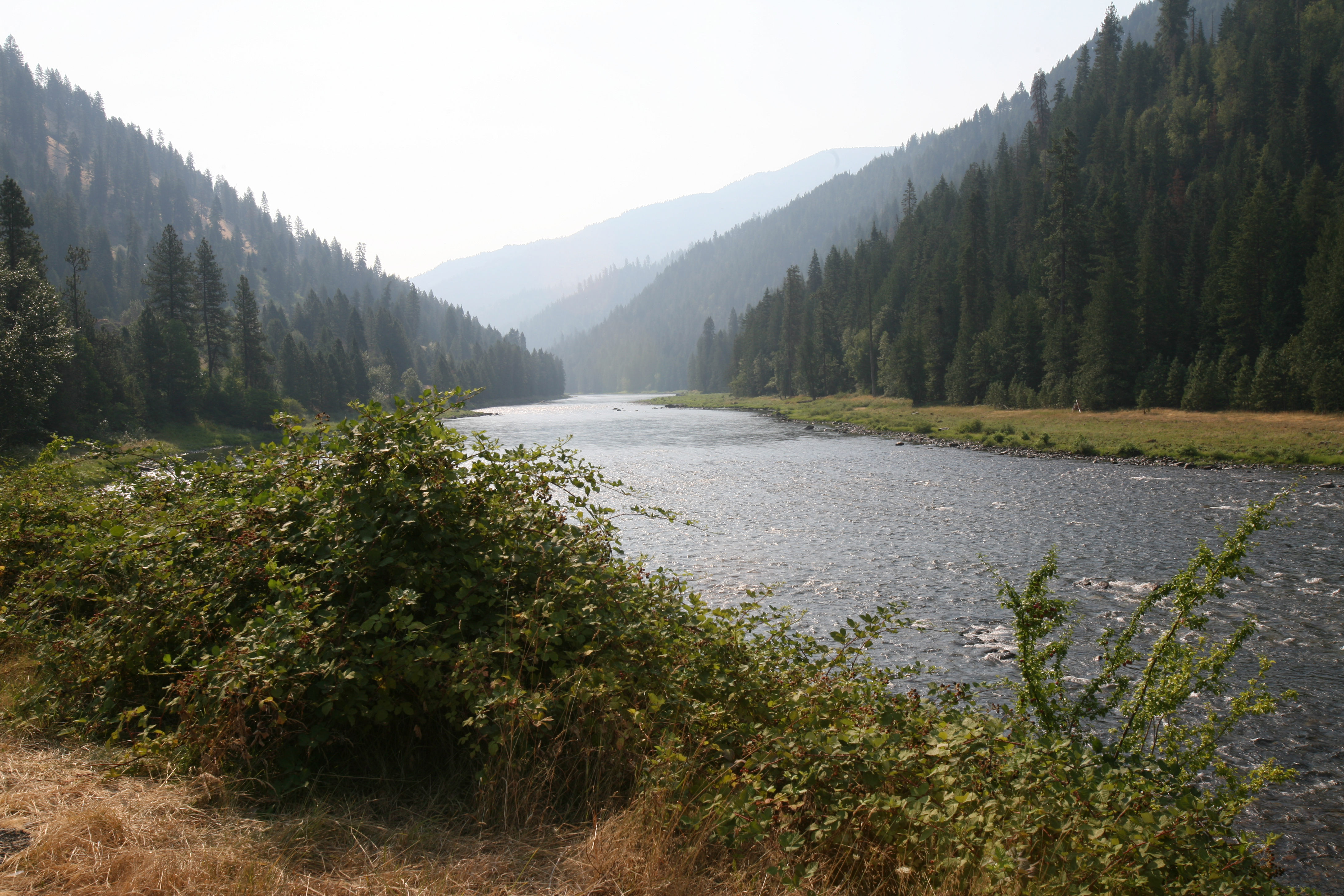 river-flanked-by-pine-forest-mountains.jpg