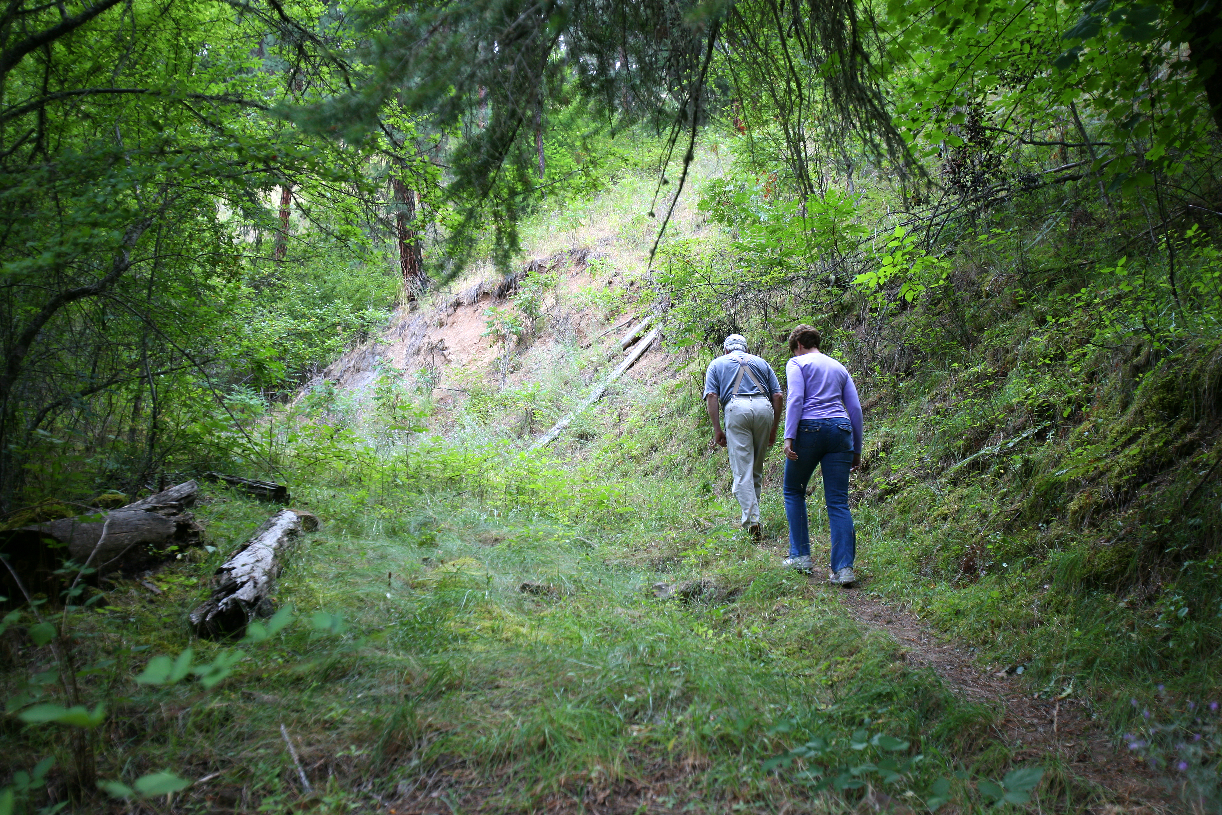 people-hiking-grass-trail.jpg