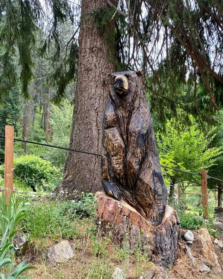 cut down bad tree turned the rest into a bear