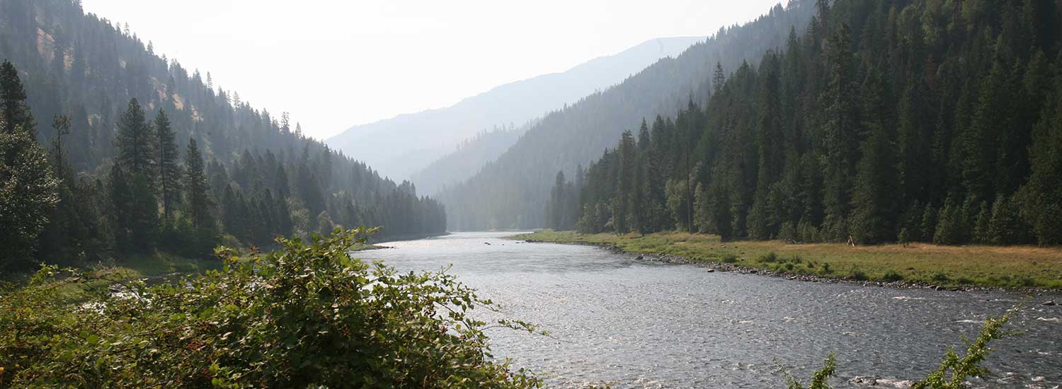 valley-river-with-pine-forest-mountains.jpg
