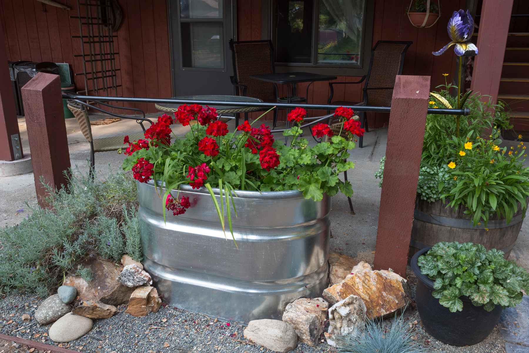 Flowers-in-tin-pot.jpg
